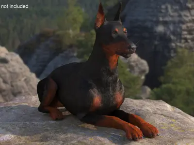  Doberman Pinscher Lying Down Fur for Cinema 4D 