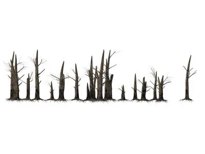 Fire-killed trees Low-poly 3D model