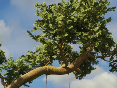 Tree Swing Low-poly 3D model