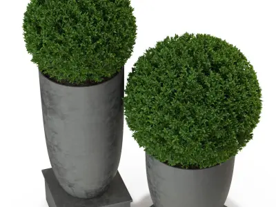 Plants collection 327 3D model