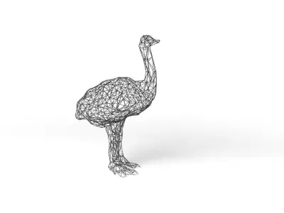 Ostrich Wireframe Low-poly 3D model