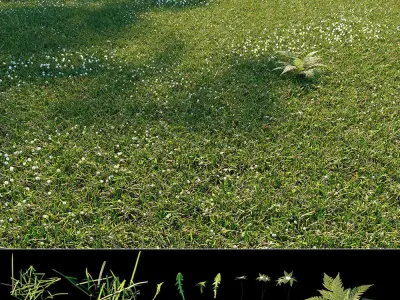 Wild grass exterior 3D model