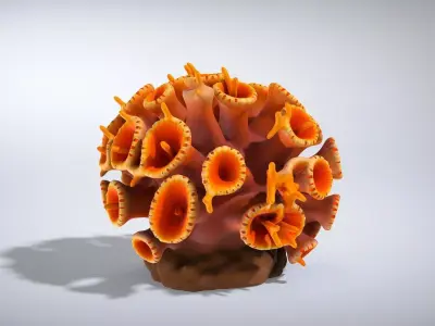 Vibrant Tubastraea Coral Colony Low-poly 3D model