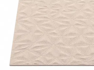 Tekari Rug 3D model