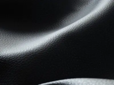 Artificial leather 02 Texture