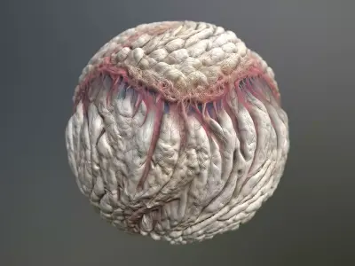 Material Skin Monster 31 Seamless PBR Texture Texture