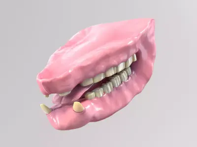 Rhino Mouth 3D model