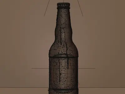 7 Beer Bottles 3D model