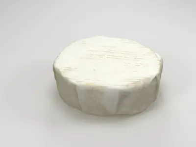 Camembert Cheese 3D model
