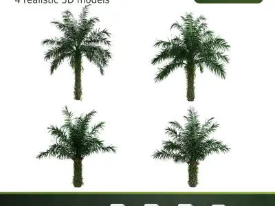 Oil Palm Tree 3D Model Pack - 4 Variations - PBR 3D model
