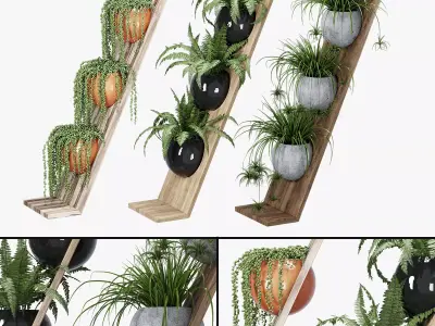 Zeta By Bloss 3D model