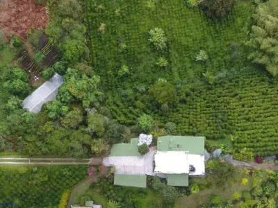 Reserva Natural Salto Del Buey Low-poly 3D model