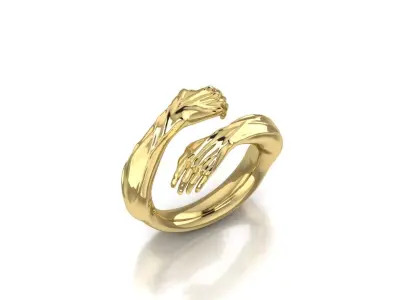 Ring hands 3D print model  3D print model