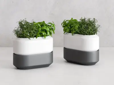 Chefn Large Herb Planter Box 3D model