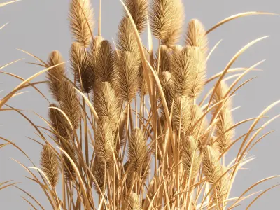 Indoor Plant Set 73 3D model