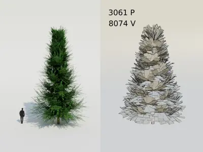 Spruce Fir Trees pack Low-poly 3D model