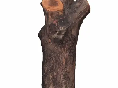 trunk 102 3D model