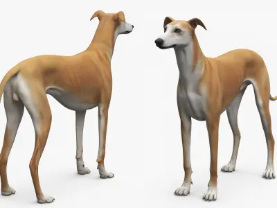  Large Dogs Collection 