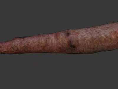  Uprooted Tree Root Scan Low-poly 3D model