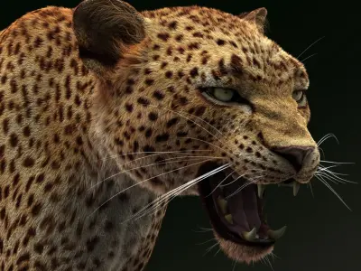  Leopard (3) (ANIMATED) (Fur) 