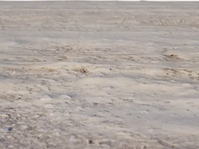 Dirt Road Scan Low-poly 3D model