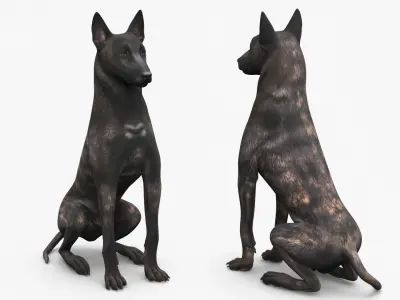  Dutch Shepherd Dog Sitting 