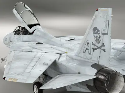  F-14D Super Tomcat Rigged 