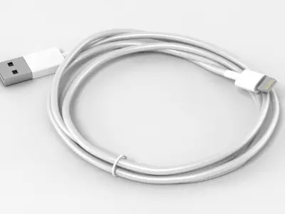 Apple Lightning Cable 3D model