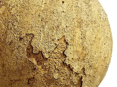 Plaster Seamless Texture 2K - EXR 5 - JPG 5 Texture Texture