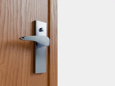 Modern Wood Door Free 3D model