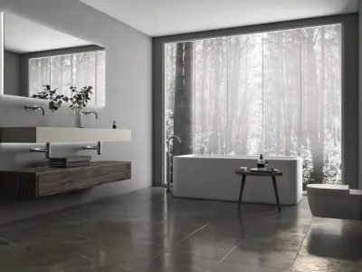 Residential Interior Of Modern Bathroom 3D model