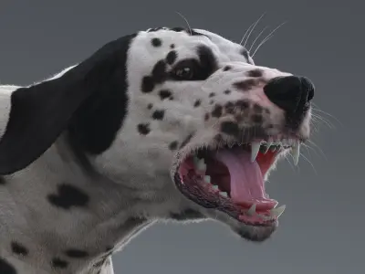  Dalmatian Rigged 