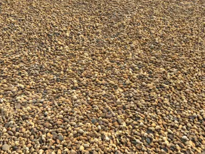 Gravel set 03 Texture