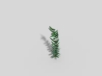 Low poly Plant Low-poly 3D model