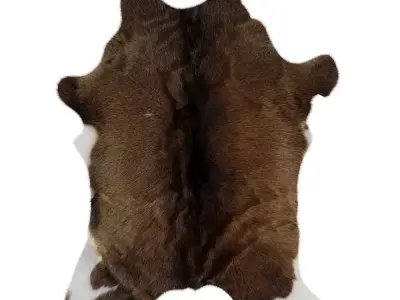 Animal skin rug 15 3D model