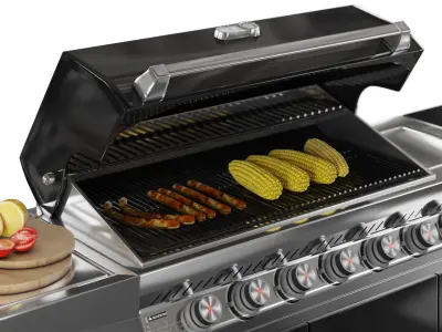 Whistler  outdoor Grill 3D model