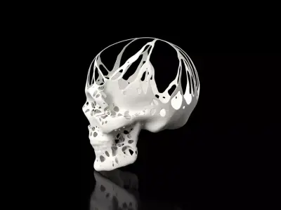 Skull Dust Voronoi Low-poly 3D model