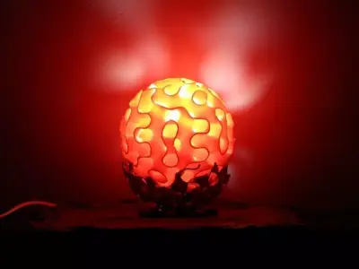 Coral Lamp Free 3D print model