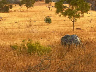 Savannah Environment 3D model