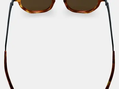 Rustin Sunglasses in Root Beer with Brushed Ink 3D model