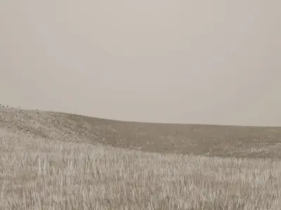 Anime Grass field  3D model