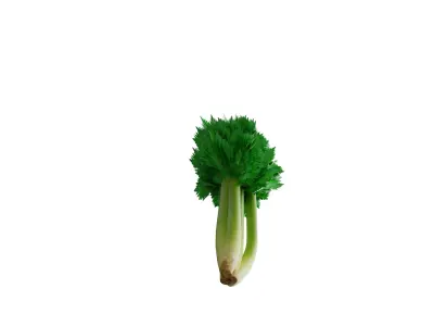 Celery Low-poly 3D model