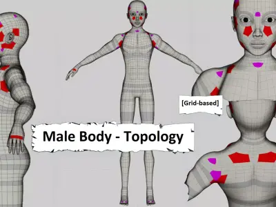 5x Human Body Topology Pack Low-poly 3D model