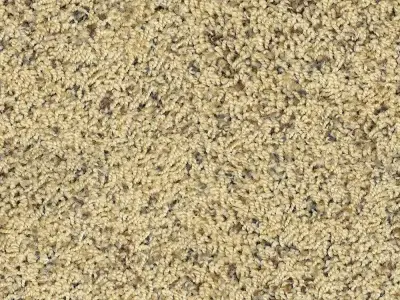 Seamless Beige Plush Carpet Texture  Texture