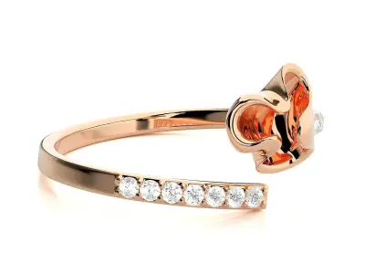 Ring - 143 3D print model