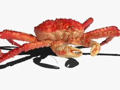  Red King Crab Rigged For Blender 