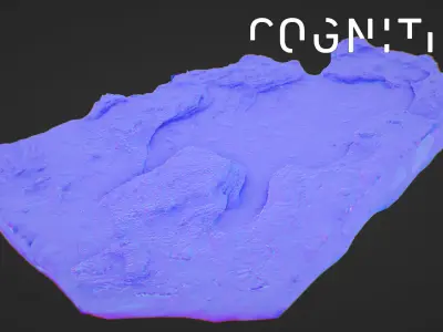 Iceland Tidal rocks 3D model