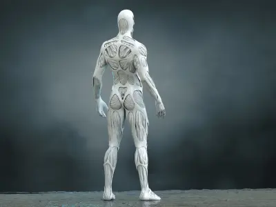 Drone Host Westworld Low-poly 3D model