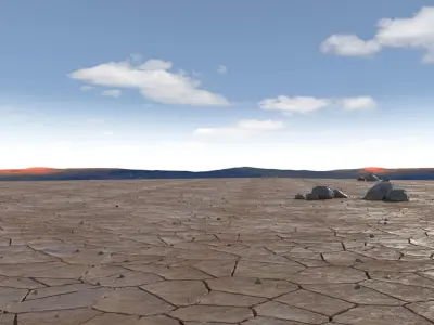 Dried Desert Bed 9 3D model