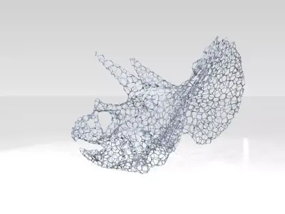 Triceratops Skull Voronoi 3D model